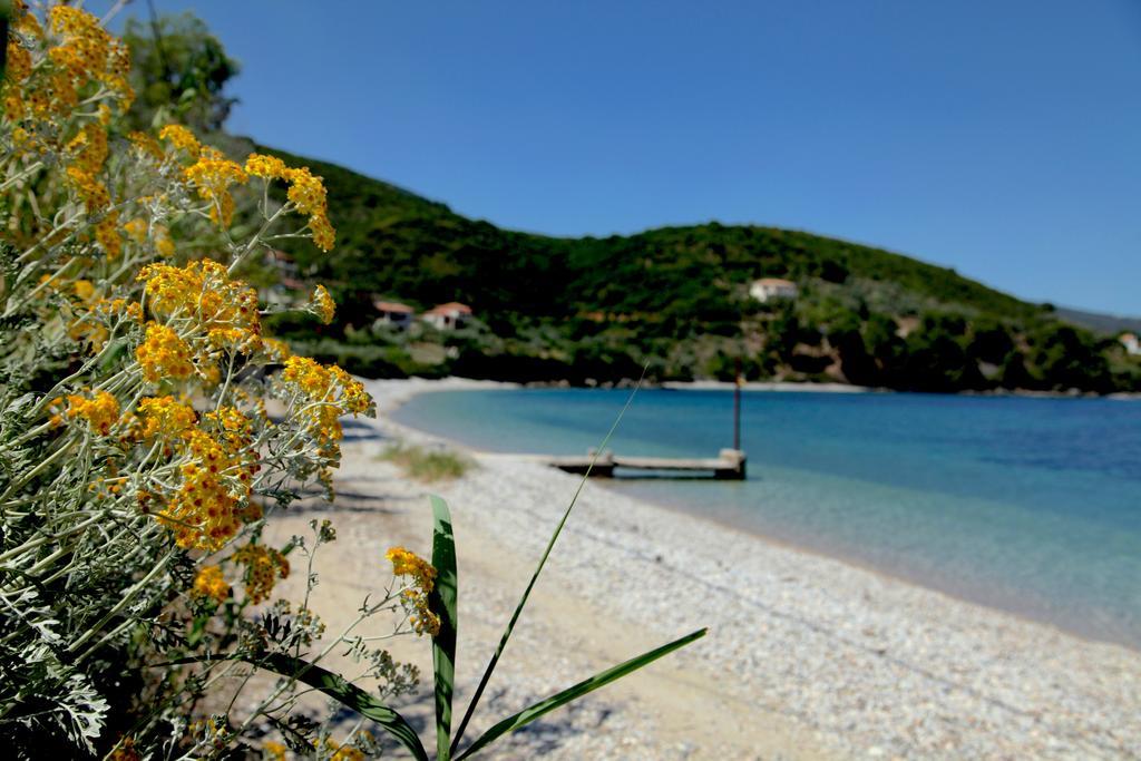 Casa Kalypso Suites & Villa Steni Vala Alonissos Exterior photo